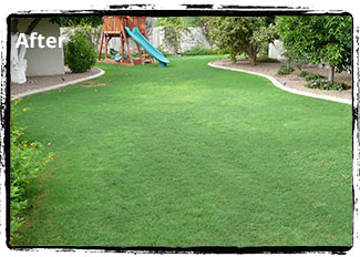 After Turf-rific Consulting and Maintenance