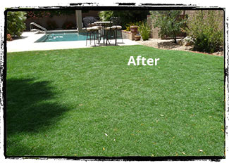 After Turf-rific Consulting and Maintenance